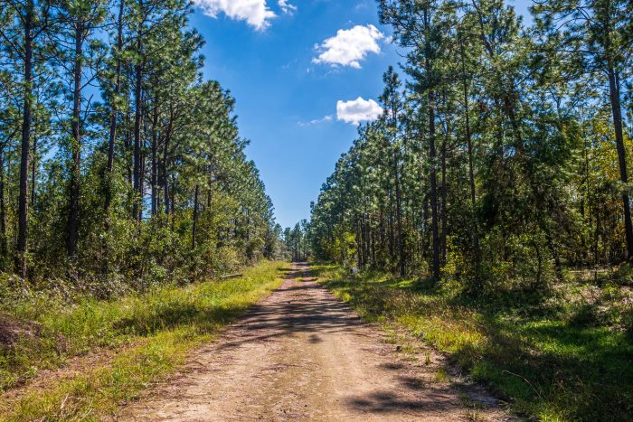 Land in Williston Highlands FL (20 of 103)