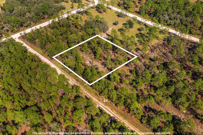 Land in Williston Highlands FL (48 of 103)
