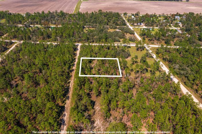 Land in Williston Highlands FL (61 of 103)