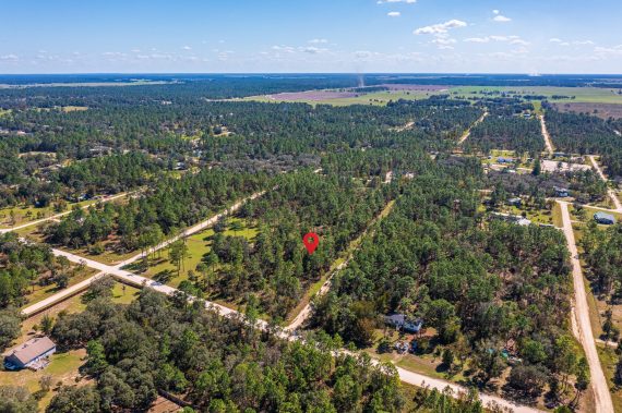 Land in Williston Highlands FL (67 of 103) Land in Williston Highlands FL (67 of 103)