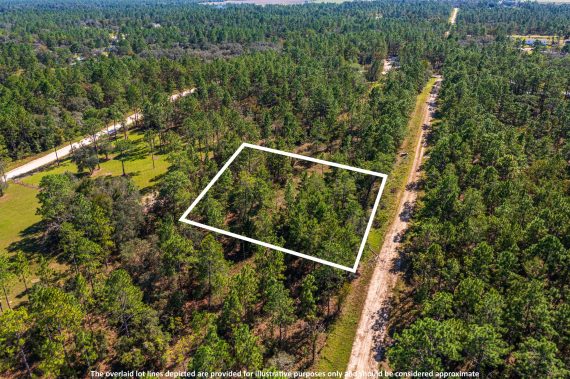 Land in Williston Highlands FL (81 of 103) Land in Williston Highlands FL (81 of 103)