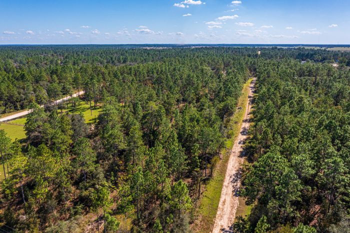 Land in Williston Highlands FL (94 of 103)