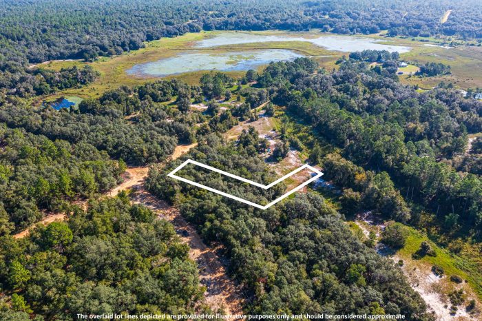 Land on Rowell Ave in Interlachen FL (30 of 72)