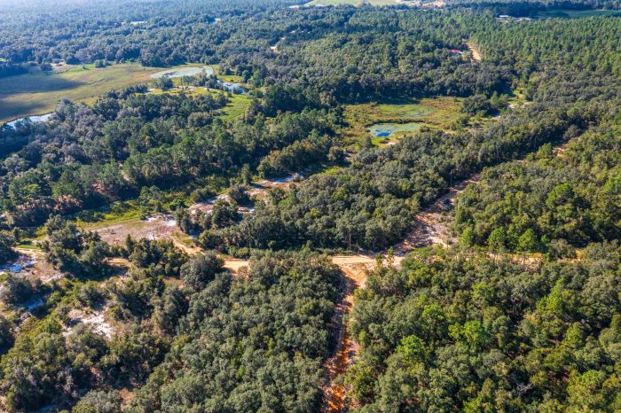 Land on Rowell Ave in Interlachen FL (37 of 72)