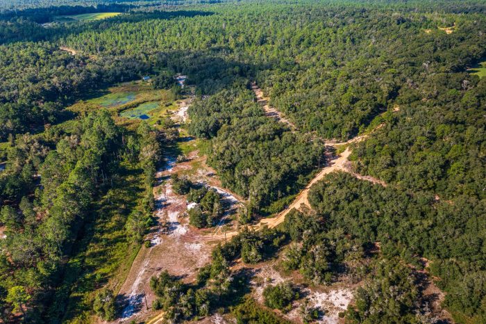 Land on Rowell Ave in Interlachen FL (40 of 72)