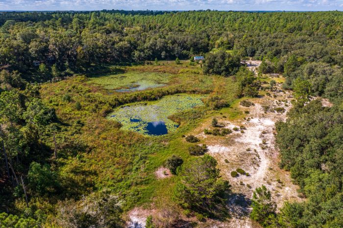 Land on Rowell Ave in Interlachen FL (64 of 72)