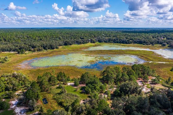Land on Rowell Ave in Interlachen FL (65 of 72) Land on Rowell Ave in Interlachen FL (65 of 72)