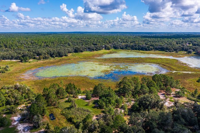 Land on Rowell Ave in Interlachen FL (65 of 72)