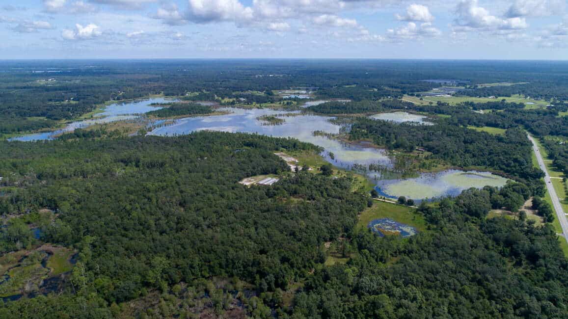 Large Tract of Land in Salt Springs FL-1 Large Tract of Land in Salt Springs FL-1