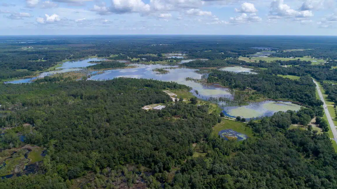 Large Tract of Land in Salt Springs FL 1