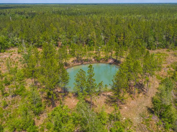 Lot 1 Left Lot Waldo FL Veuwr Aerials 22 of 28 scaled Lot 1 Left Lot Waldo FL Veuwr Aerials 22 of 28 scaled