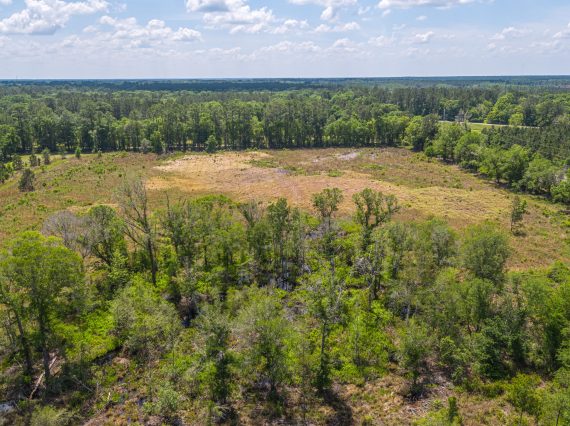 Lot 1 Left Lot Waldo FL Veuwr Aerials 27 of 28 scaled Lot 1 Left Lot Waldo FL Veuwr Aerials 27 of 28 scaled