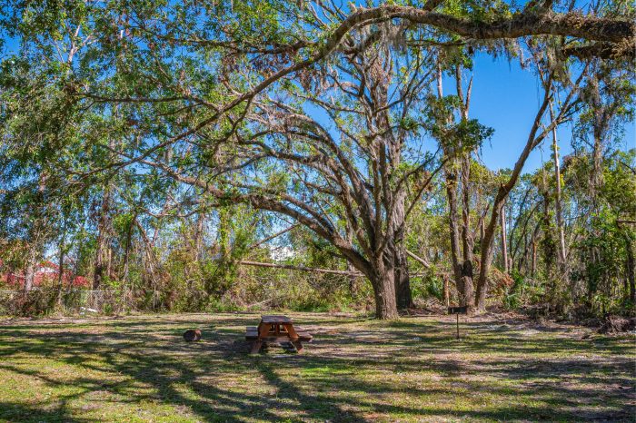 Pictures of Apartment Complex in Perry FL (4 of 8) Pictures of Apartment Complex in Perry FL (4 of 8)