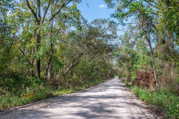 Pictures of Land in Live Oak FL (1 of 55) Pictures of Land in Live Oak FL