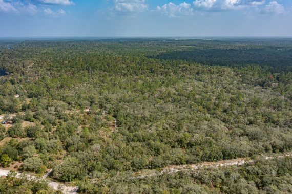 Drone Picture of Land for Sale in Live Oak FL Drone Picture of Land for Sale in Live Oak FL