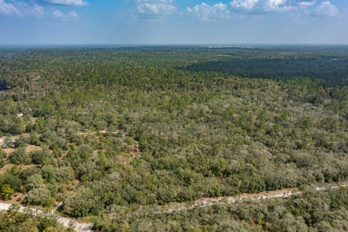 Drone Picture of Land for Sale in Live Oak FL Drone Picture of Land for Sale in Live Oak FL