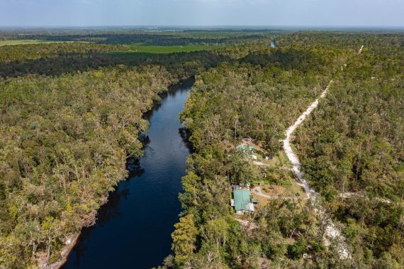 Pictures of Land in Live Oak FL (45 of 55) Pictures of Land in Live Oak FL (45 of 55)