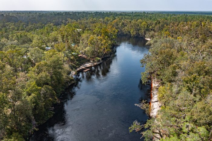 Pictures of Land in Live Oak FL (48 of 55) Pictures of Land in Live Oak FL (48 of 55)