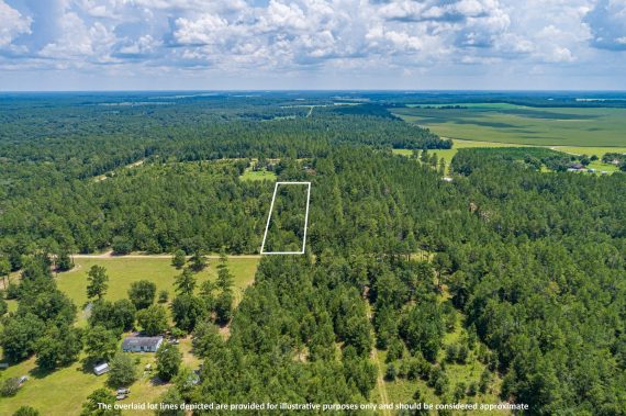 Pictures of Land in Madison FL12 Pictures of Land in Madison FL12