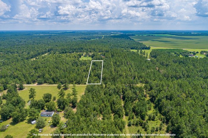 Pictures of Land in Madison FL12 Pictures of Land in Madison FL12