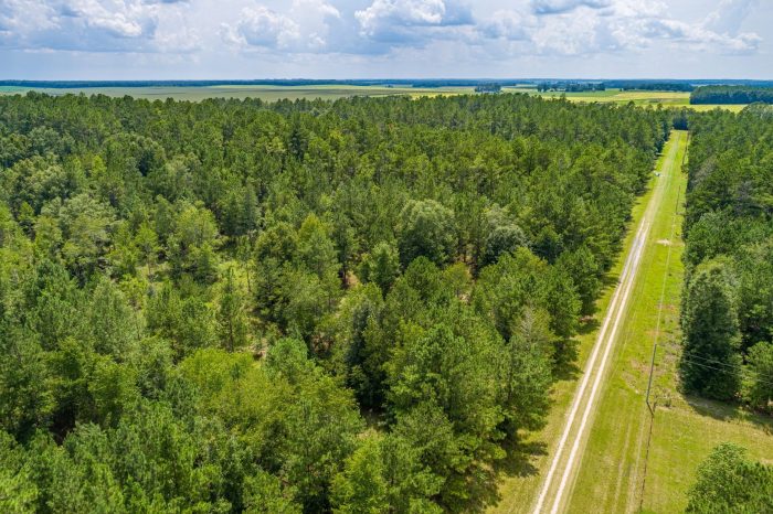 Pictures of Land in Madison FL3 Pictures of Land in Madison FL3