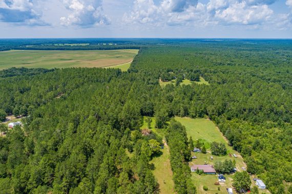 Pictures of Land in Madison FL4 Pictures of Land in Madison FL4