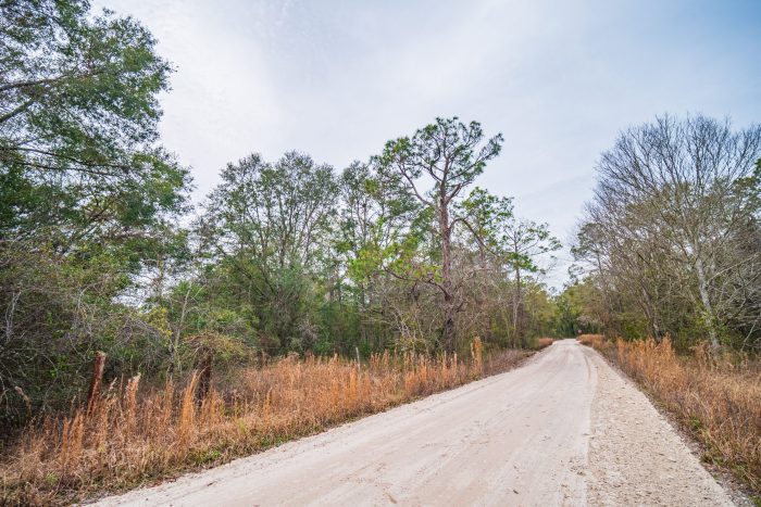 Pictures of Land in Suwannee County FL (1 of 6)