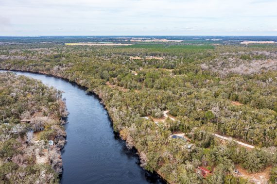 Pictures of Land in Suwannee County FL (6 of 6) Pictures of Land in Suwannee County FL (6 of 6)