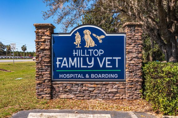 Vet Office in Alachua FL (5 of 8) Vet Office in Alachua FL (5 of 8)